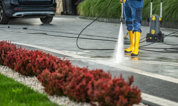 Best Sidewalk and Walkway Cleaning  in Perry, FL